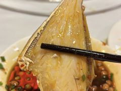 -川道拐耗儿鱼(置信路店)