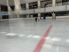 -炫采冰场(红博中央公园商场店)