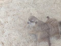 -大鼓米线(浦东长泰店)