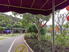 -野狸岛