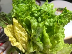 蔬菜-日昌餐馆(Mini西点茂店)