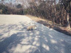 -无锡梅园公园