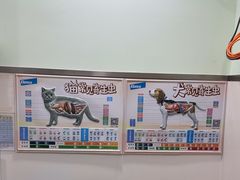 -佳雯宠物医院·皮肤科·内外科(春晓路分院)