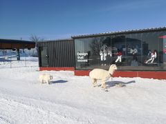 -长白山万达国际滑雪场