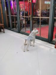 -煊私人定制美发会所