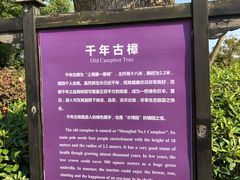 -韩湘水博园