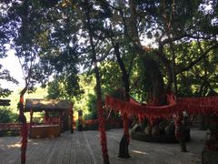 -海南槟榔谷黎苗文化旅游区