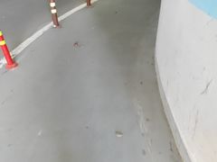 -添彩臻宴