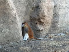 -齐齐哈尔龙沙动植物园