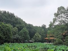 -富乐山