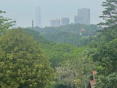 -东莞植物园