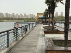 -白塘生态植物园