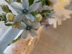 -南堂馆·新川菜(春熙路店)