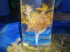 -欢乐海岸海洋奇梦馆