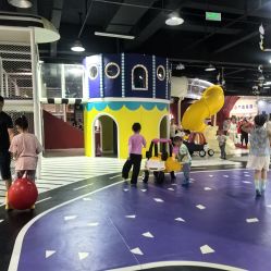 -长沙云顶星河游乐园(步步高·梅溪新天地店)