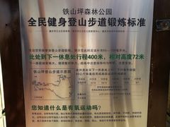 -铁山坪森林公园