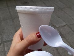 -洪馨椰子