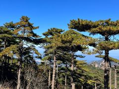 -黄山风景区