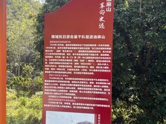 -黄埔油麻山森林公园