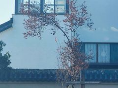 -圆通寺