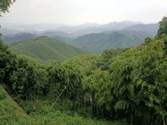 -莫干山风景区