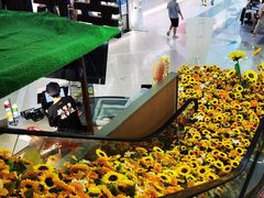 -吾悦广场(天津和平店)