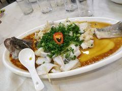 清蒸鱼-清心鸡沙田乳鸽店·非遗传承(石溪店)