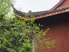-磁器口古镇