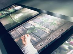 -星巴克臻选(重庆沙坪坝店)