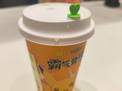 -奈雪的茶(新奥购物中心PRO店)