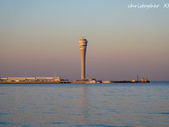 -上海吴淞炮台湾国家湿地公园