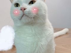 -FAELING PETS美天灵宠物(富力广场店)