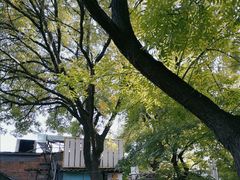 -护国寺小吃(新街口店)