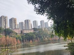 -重庆彩云湖湿地公园