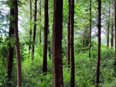 -云龙湖旅游景区