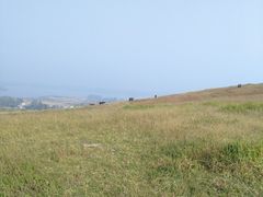 -恋山坝上草原