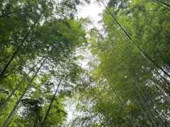 -敬亭山风景名胜区