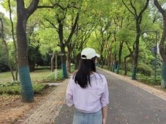 -东湖落雁景区