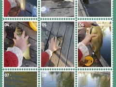 -酷鱼垂钓CLUB(朝阳区博大路店 )