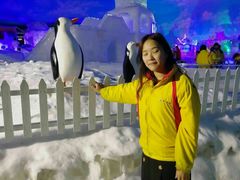 -世界之窗阿尔卑斯冰雪世界
