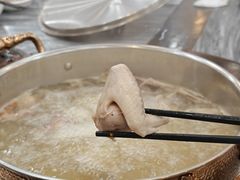 -鸽鸟轩(石岐店)