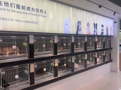 -翊宠yipet猫狗购宠庄园