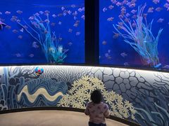 -沈阳海洋探索中心