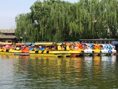 -团结湖公园