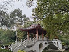 -柳侯公园