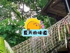 -南丹山森林王国