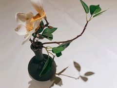 -唐廊烤鸭店(工体店)