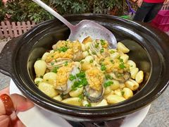 -新高记·粤菜·湛江鸡(南头古城店)