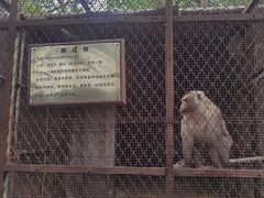 -昆明动物园