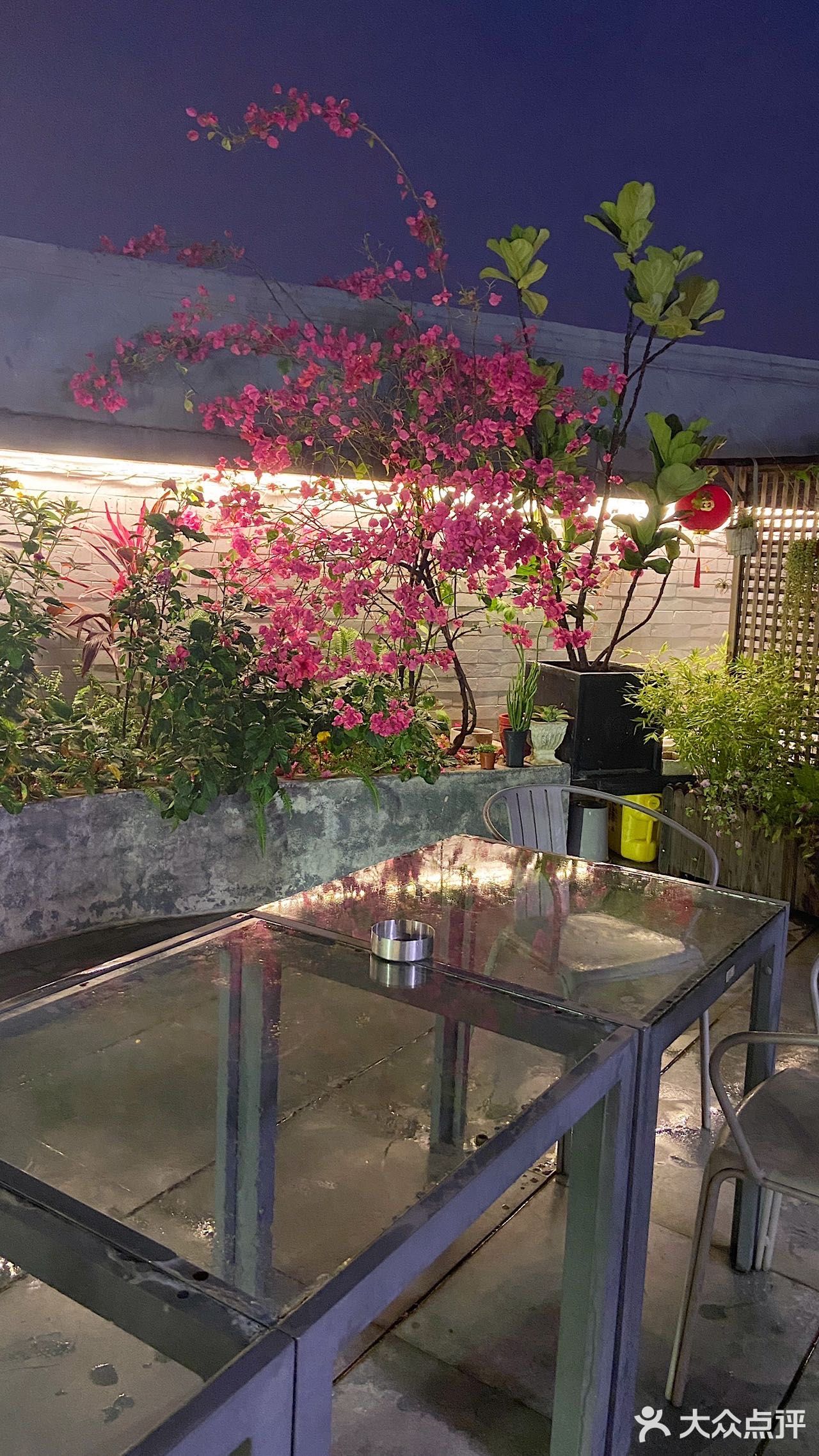 这家藏在楼顶的花园私房菜太美啦！